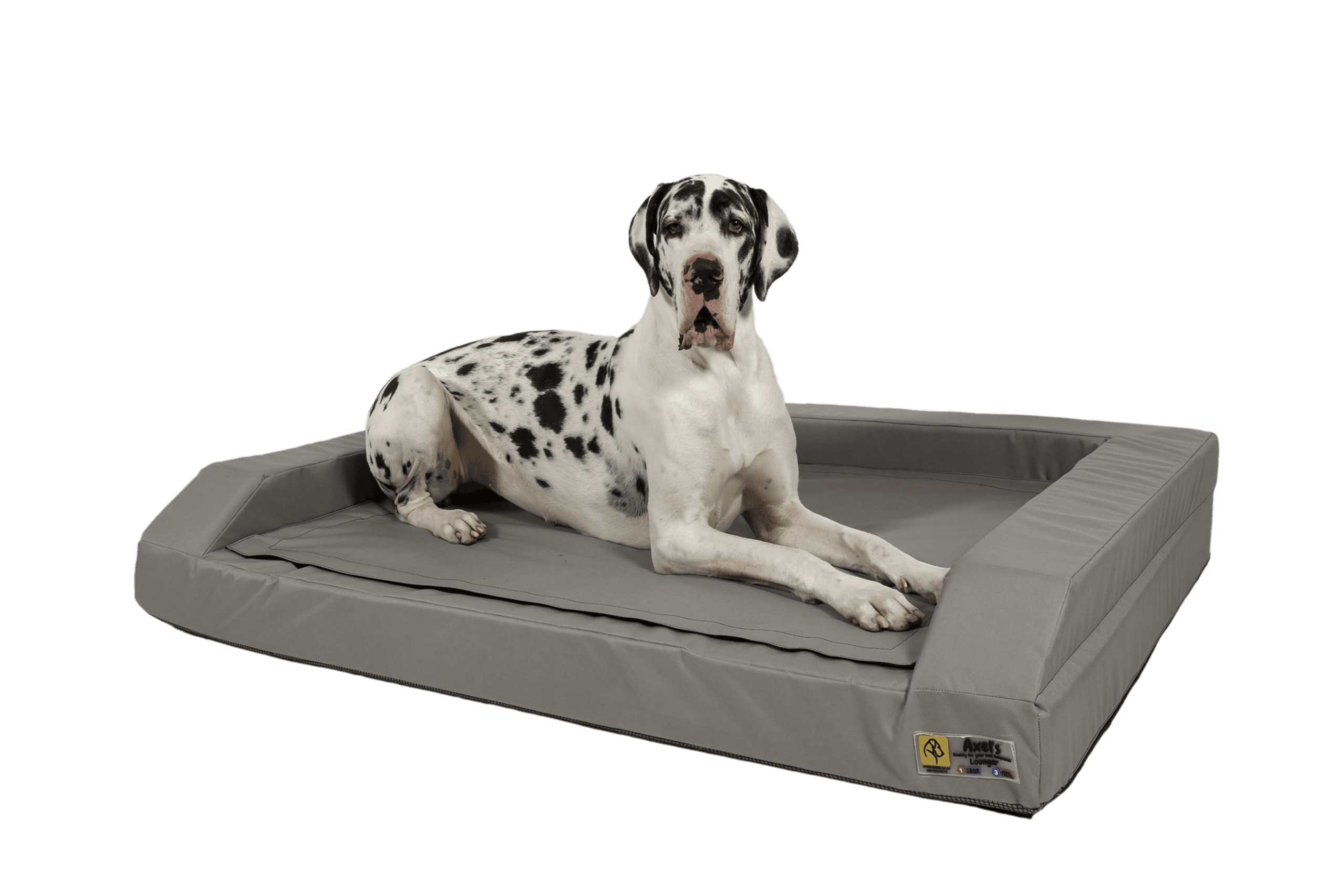 Axel's Orthopedic Lounger sofa-style dog bed